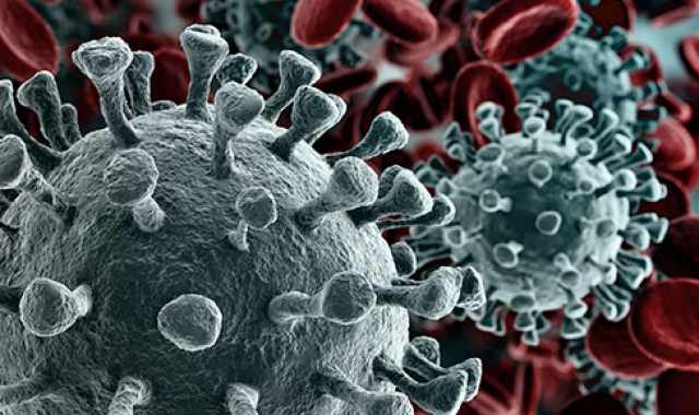 Coronavirus, in Puglia 11 nuovi casi: positivo lo 0,49% dei tamponi