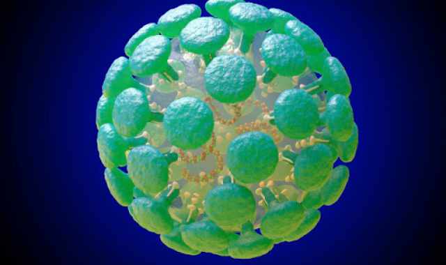 Coronavirus, in Puglia 42 nuovi casi: salgono a 478 i contagiati (10 residenti in altre regioni)