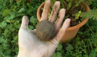 Casamassima, ''bombe'' di semi sui terreni incolti: � il guerriglia gardening