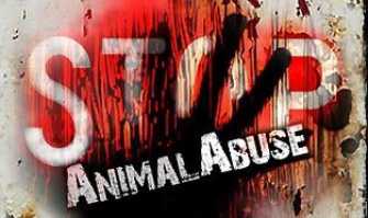 La zooerastia: c'� chi fa sesso con gli animali. Una petizione per vietarla