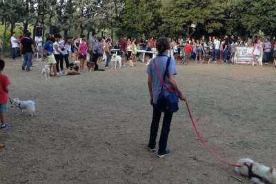 Palo del Colle, ''Festa del cane'' tra divertimento e riflessione