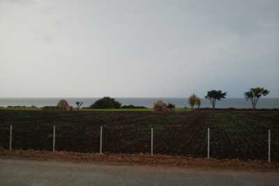 Cozze, ''Parco dei Trulli'' e polemiche. Ma se il campo da golf fosse il meno peggio?  