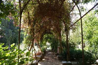 Stagni, boschetti e piante rare: � il museo orto botanico del Campus 