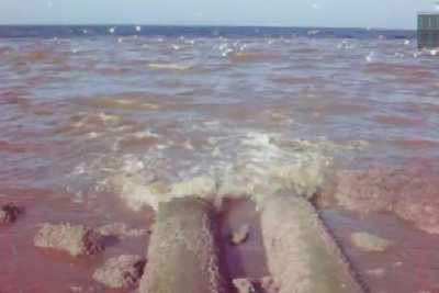 "La bocca del diavolo", misteriosa fogna che sversa a Torre Quetta: video