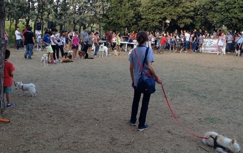 Palo del Colle, ''Festa del cane'' tra divertimento e riflessione