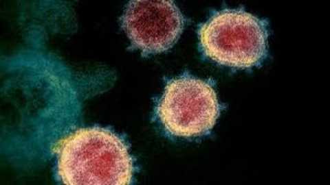 Coronavirus, 82 i nuovi casi in Puglia: positivo il 3,8% dei tamponi