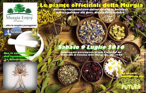 Cassano, ''Le piante officinali della Murgia'': escursione guidata con Murgia Enjoy