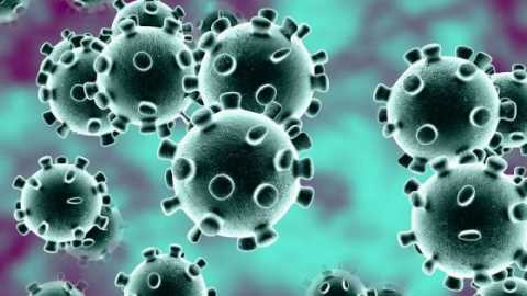 Coronavirus, in Puglia un solo nuovo caso: positivo lo 0,04% dei tamponi