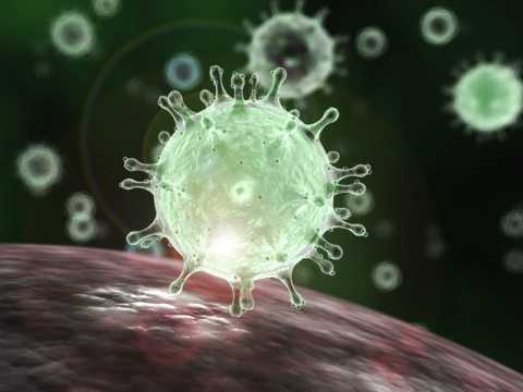 Coronavirus, in Puglia 27 nuovi contagi: positivo l'1,47% dei tamponi