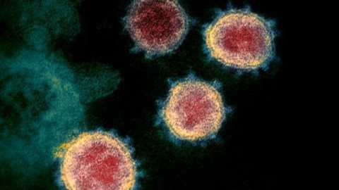 Coronavirus, 70 nuovi casi: positivo il 6,4% dei tamponi
