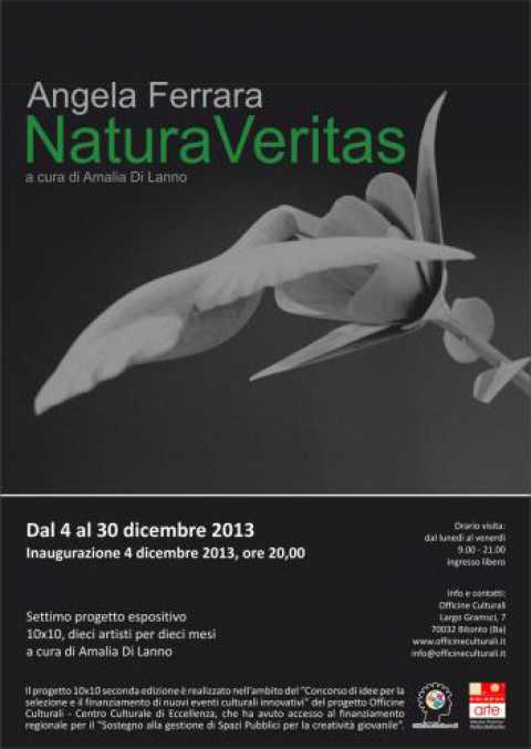 Bitonto, ''NaturaVeritas'': mostra di Angela Ferrara alle Officine Culturali