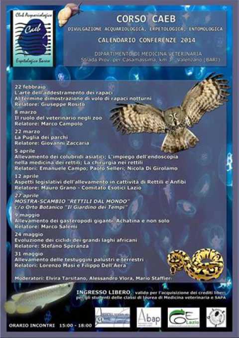 Bari, mostra-scambio 