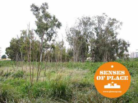 Barletta, ''Senses of place'': presentazione dell'archivio digitale sull'ex Distilleria