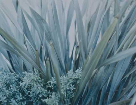 Bari ''The Quality of Scale'': mostra personale di Giusy Pirrotta
