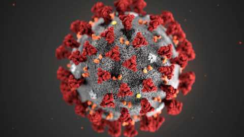 Coronavirus, in Puglia 55 nuovi casi: positivo il 3,1% dei tamponi 