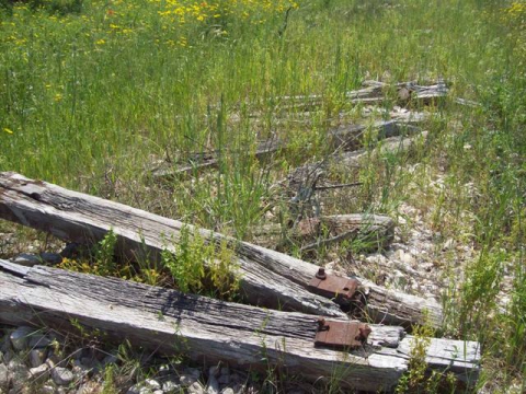 Il tram di Santo Spirito: dopo 50 anni binari e stazione sono ancora l�
