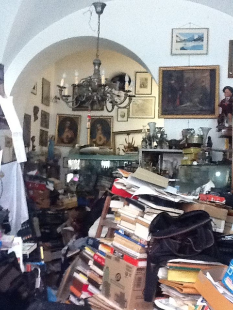 La storia di Nestore, Spillo e la loro bottega del collezionismo ''elegantemente disordinata''