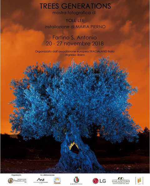 Bari, ''Trees generation'': in mostra al Fortino le foto di Yoll Lee 