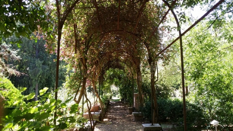 Stagni, boschetti e piante rare: � il museo orto botanico del Campus 