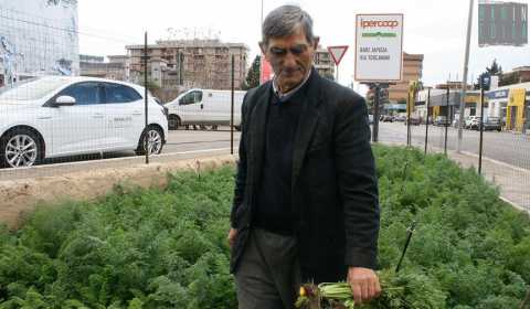 Bari, la zona del Sacrario: dove campi e contadini resistono all'avanzare della citt 