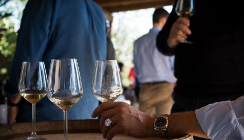 Gli assaggiatori, coloro che valutano il vino: �Ma non confondeteci con i sommelier�