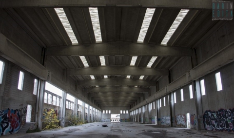 Bari, tra graffiti e abbandono viaggio nell'enorme ex fabbrica Scac di Santo Spirito