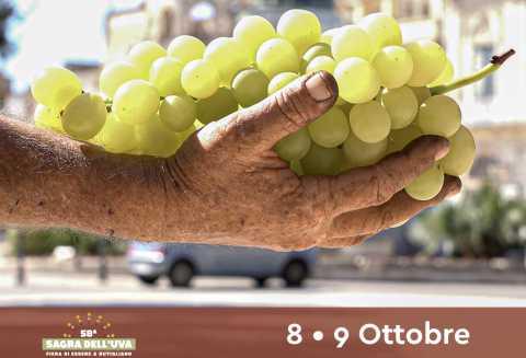 Rutigliano, 58esima Sagra dell'Uva: cibo, tradizioni e la gara del ''grappolo gigante''