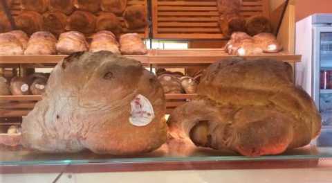 World Bread Day: degustazioni, laboratori e convegni per celebrare il pane di Altamura