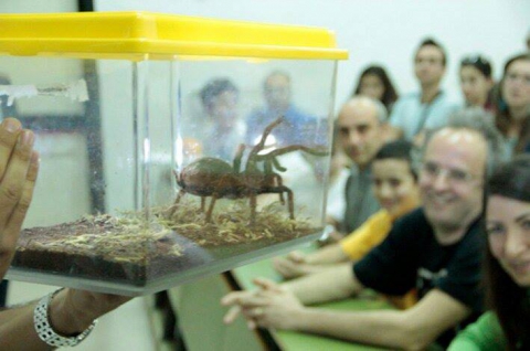 Rettili e anfibi, a Bari c'� un 