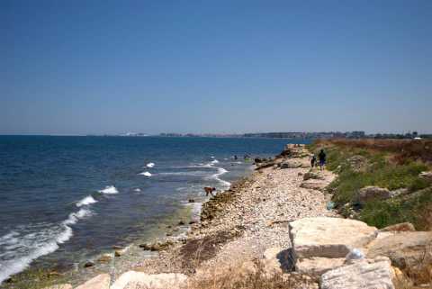 Palese, la polizia fa sgomberare la costa: Piombo in mare. E' giallo