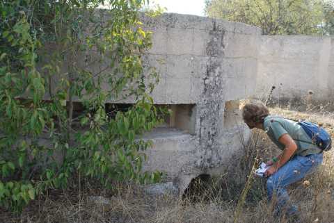 Lamasinata, Barinedita scopre un mondo sotterraneo: bunker, tunnel, armi ed ipogei 