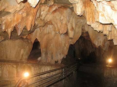 Cassano, escursione alla scoperta degli animali viventi nelle grotte murgiane