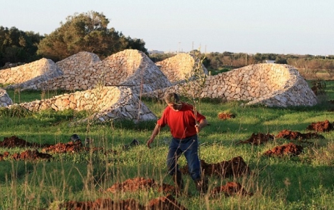 Ugento, mezzelune in pietra che catturano l'acqua: � l'Orto dei Tu'rat