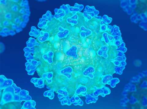 Coronavirus, in Puglia 11 nuovi casi: positivo lo 0,57% dei tamponi