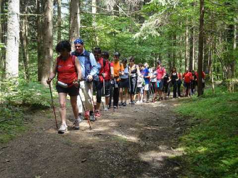 Il Nordic Walking: camminare nella natura simulando lo sci