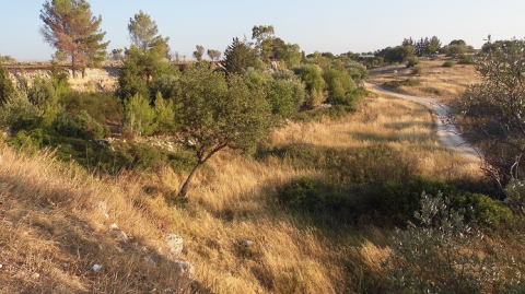 Acque di scarico nella Lama San Giorgio: �Diciamo no, � un'assurdit�