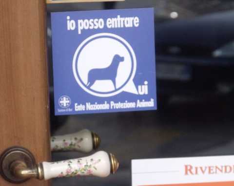 I cani? A Bari possono entrare in uffici e negozi, ma nessuno lo sa