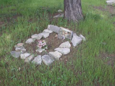 Japigia, cimitero abusivo per cani: per non gettare ''fido'' in discarica