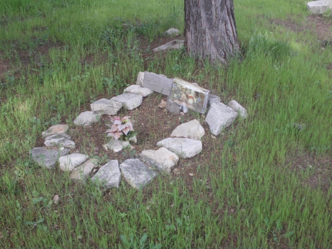 Japigia, cimitero abusivo per cani: per non gettare ''fido'' in discarica