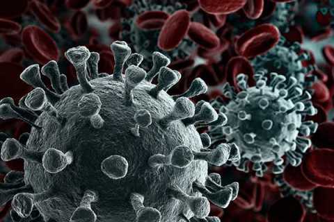 Coronavirus, in Puglia 11 nuovi casi: positivo l'1,02% dei tamponi