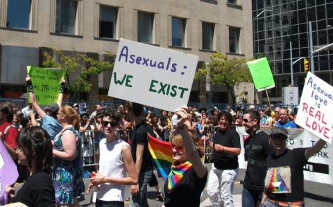 Gli ''asessuali'', coloro che rifiutano i rapporti fisici: �Non ci piace fare l'amore�