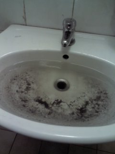 Giurisprudenza e Scienze politiche, bagni sporchi e impraticabili: di chi è la colpa