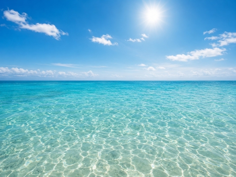 Estate a Bari: 5 idee per come trascorrere la vacanza senza spostarti dalla tua città
