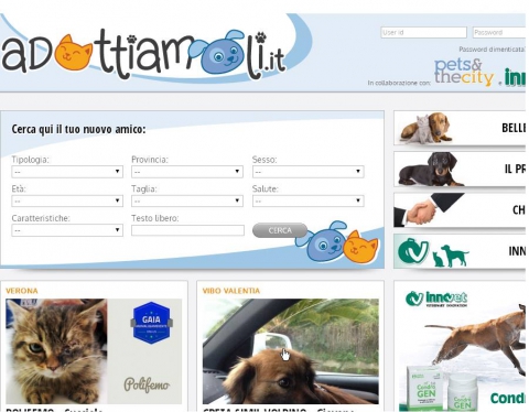 ''Adottiamoli'': su internet scegli un randagio per taglia, sesso ed et�