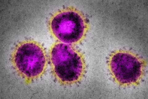 Coronavirus, 111 i nuovi casi in Puglia: i contagi salgono a 786