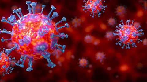 Coronavirus, in Puglia 74 nuovi casi: positivo il 4,51% dei tamponi