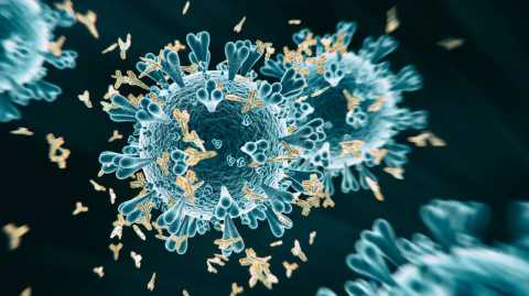 Coronavirus, in Puglia 10 nuovi casi: positivo lo 0,51% dei tamponi