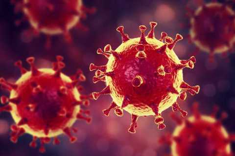Coronavirus, 31 nuovi casi in Puglia: positivo l'1,43% dei tamponi