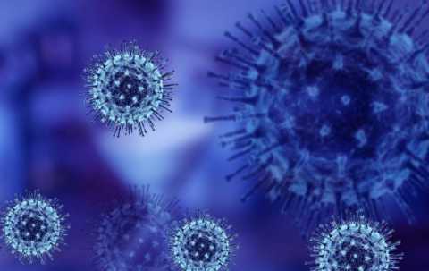 Coronavirus, in Puglia 14 nuovi casi: positivo l'1,04% dei tamponi