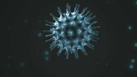 Coronavirus, in Puglia 88 nuovi casi: sale a 1093 il numero dei contagiati